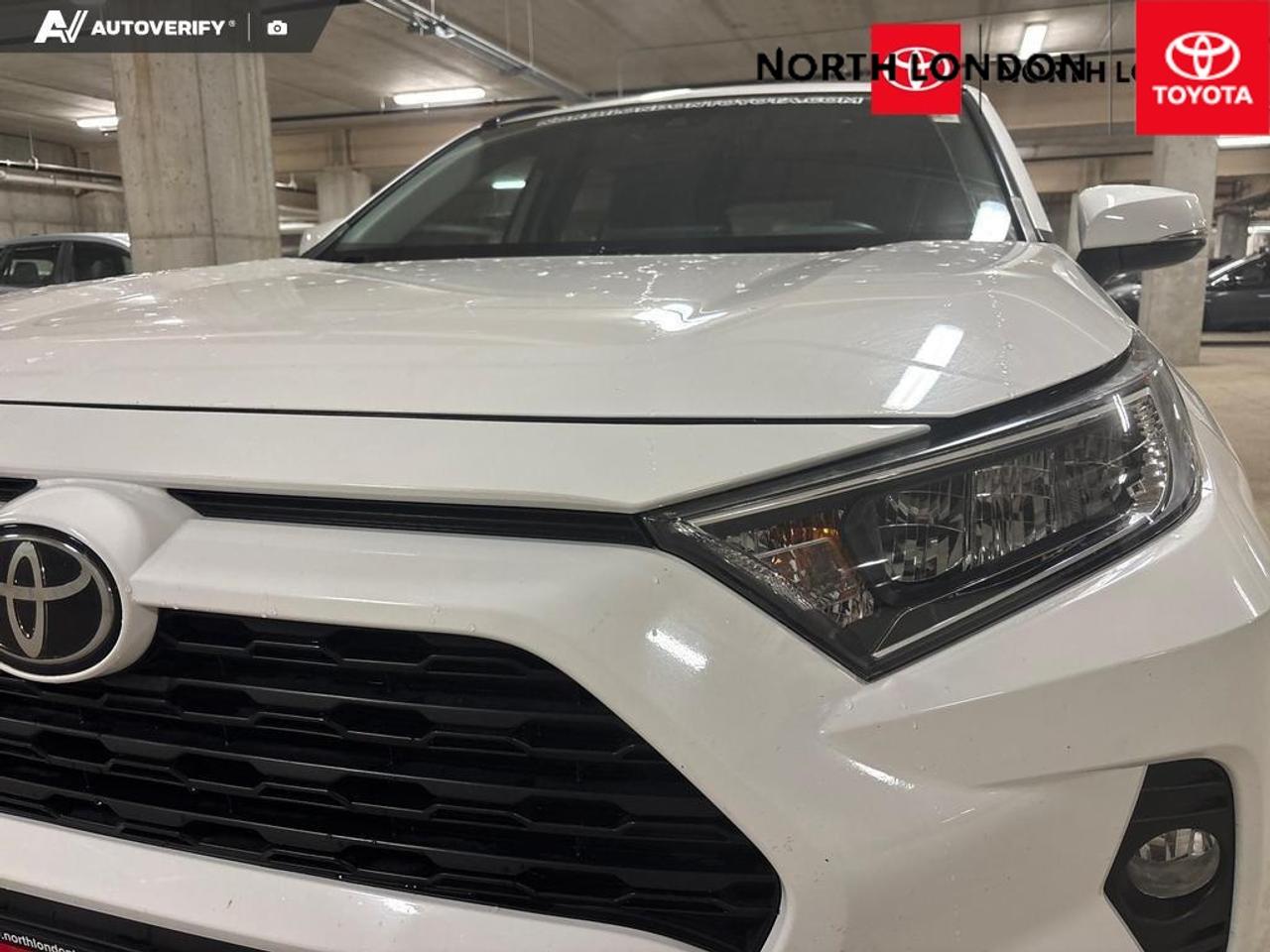 2019 Toyota RAV4 XLE 4dr Front-wheel Drive Photo