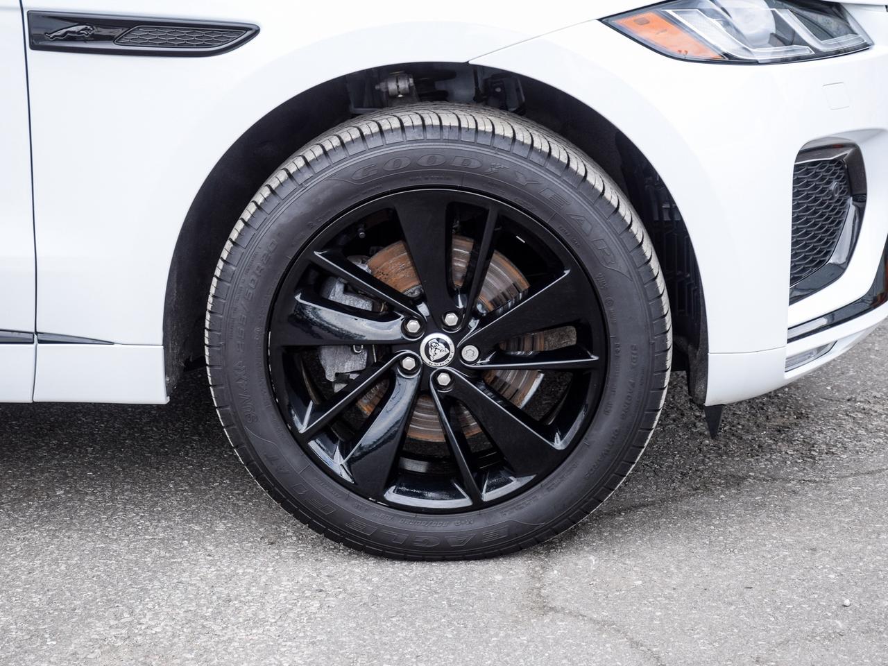 2025 Jaguar F-PACE P250 R-Dynamic S Photo