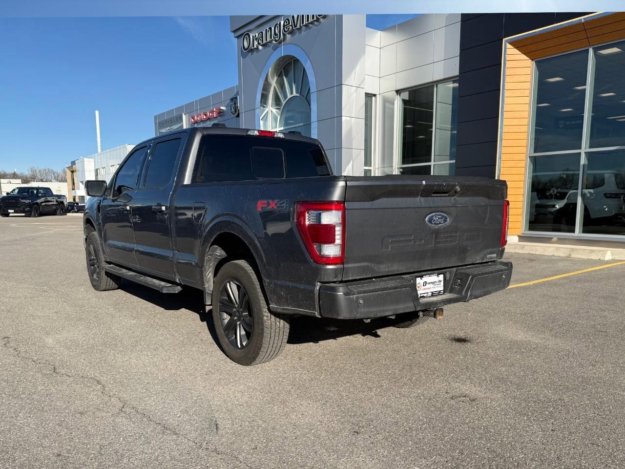 2023 Ford F-150  Photo