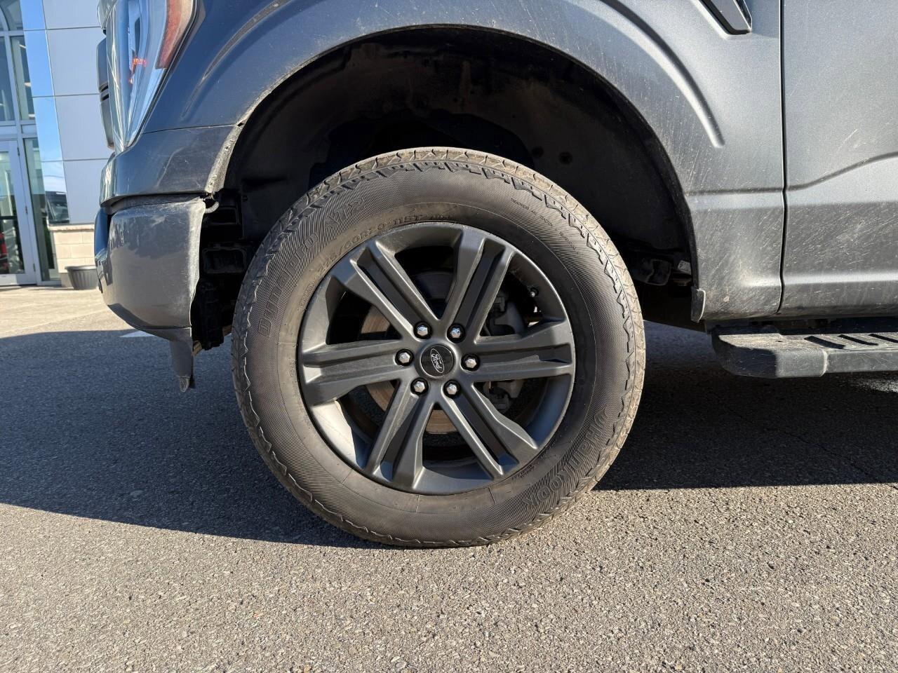 2023 Ford F-150  Photo