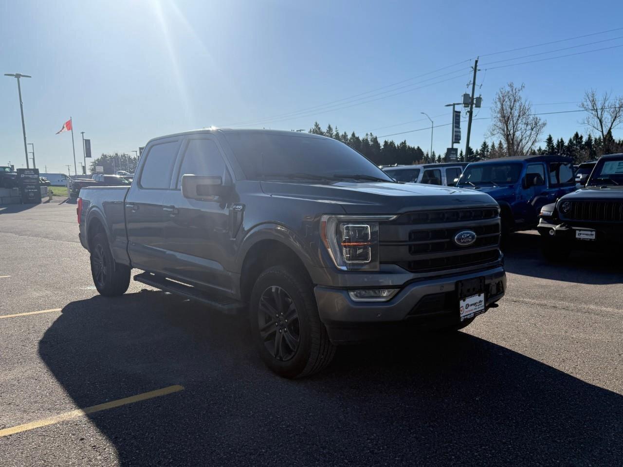 2023 Ford F-150  Photo