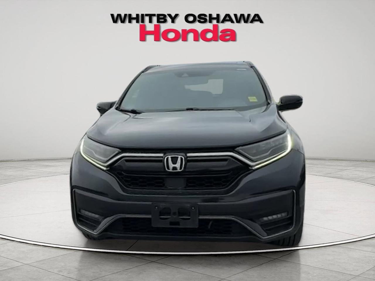 2020 Honda CR-V  Photo