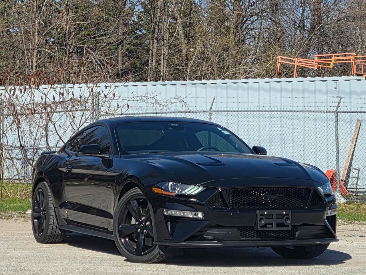 2022 Ford Mustang GT Photo
