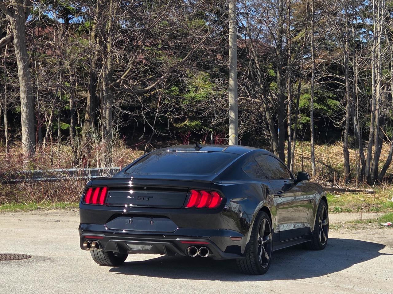 2022 Ford Mustang GT Photo