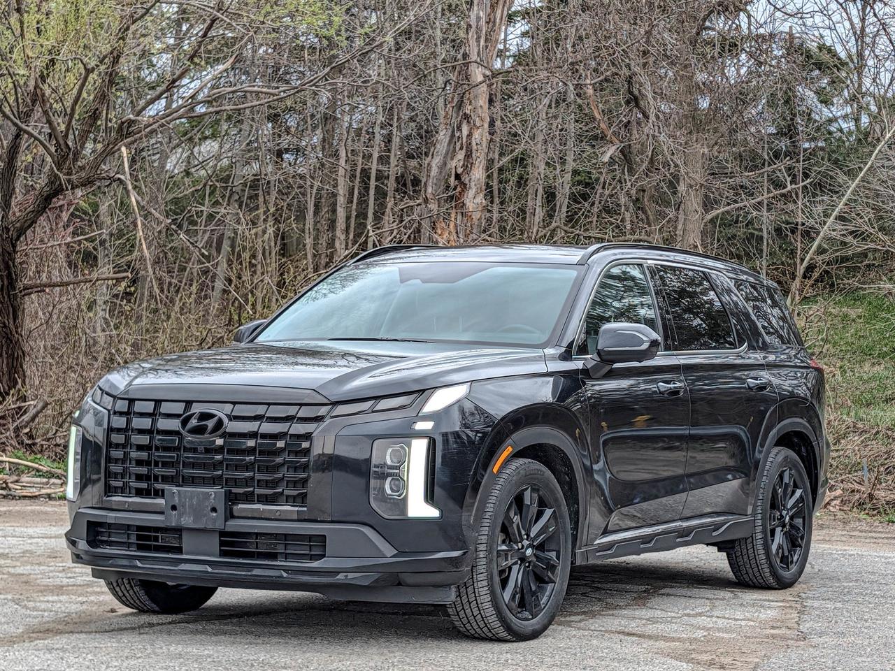 2024 Hyundai PALISADE URBAN Photo