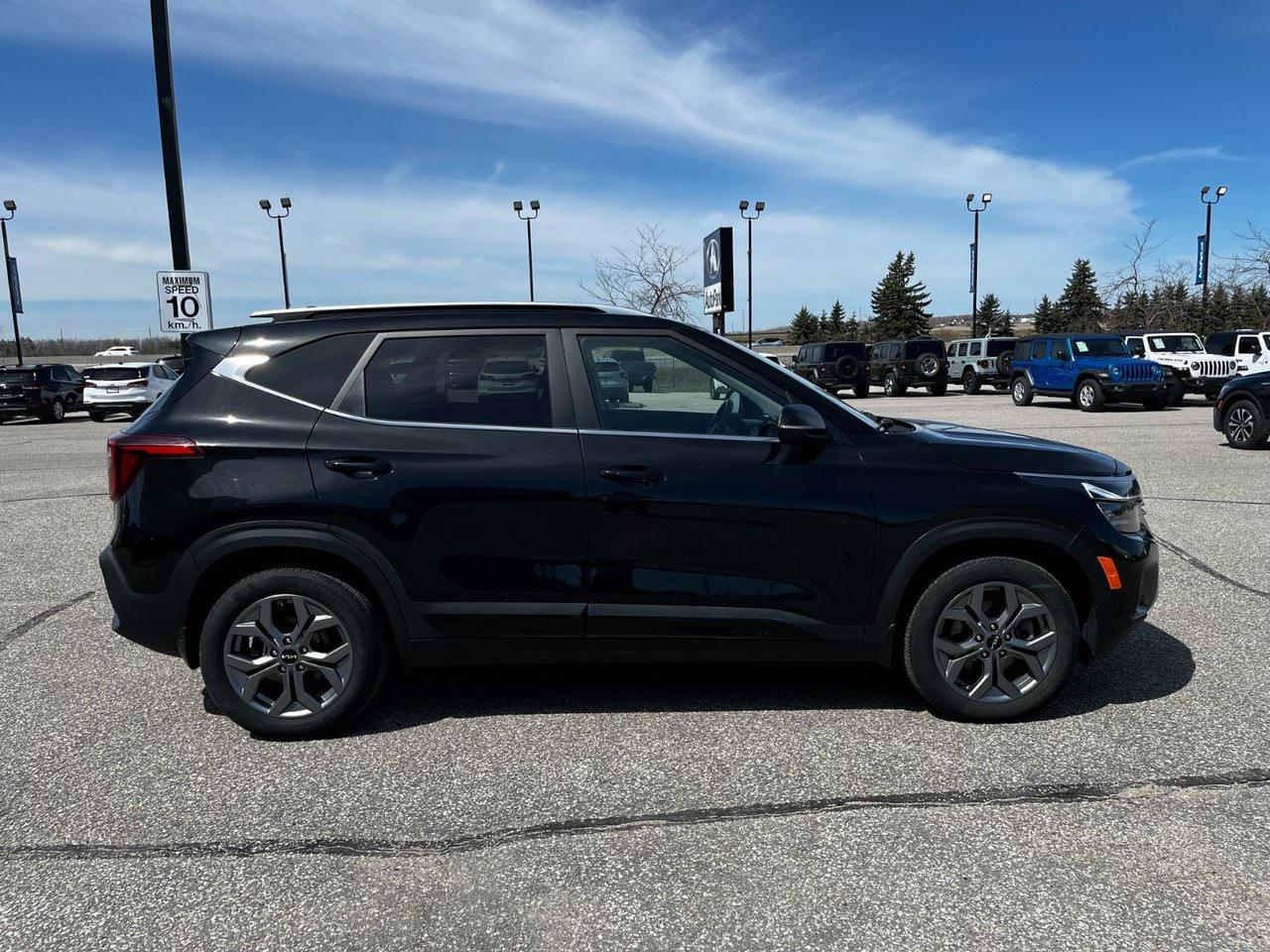 2024 Kia Seltos EX AWD Photo