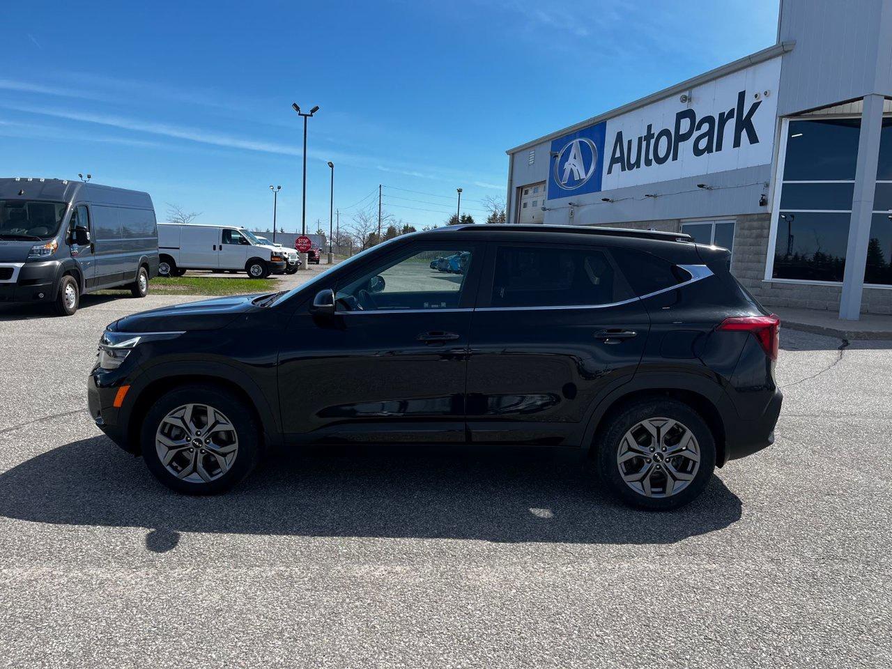 2024 Kia Seltos EX AWD Photo