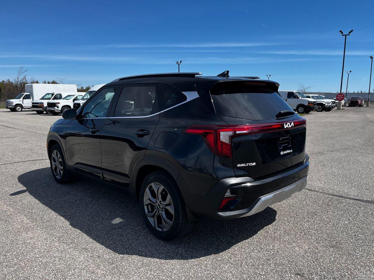 2024 Kia Seltos EX AWD Photo