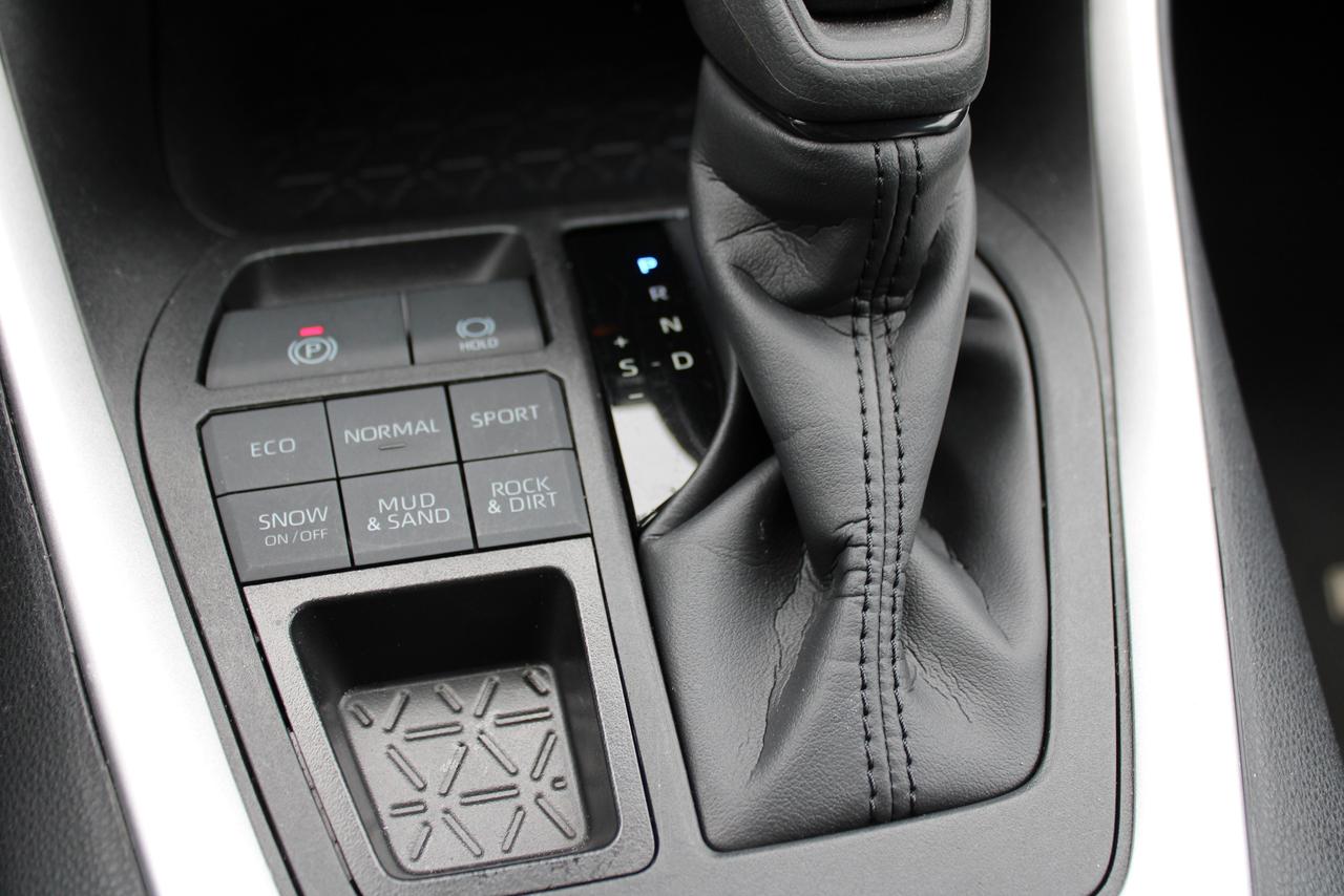 2025 Toyota RAV4 LE AWD Photo
