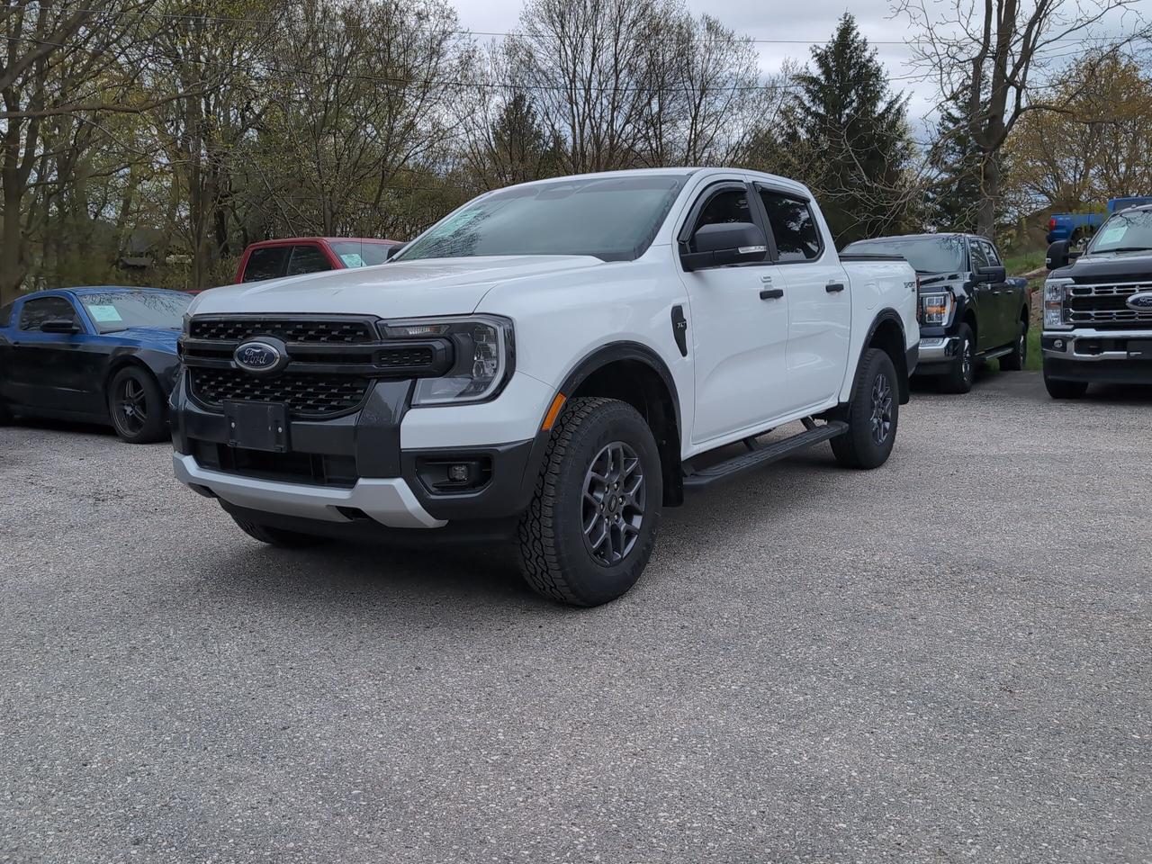 2024 Ford Ranger XLT 4WD SuperCrew 5' Box Photo0