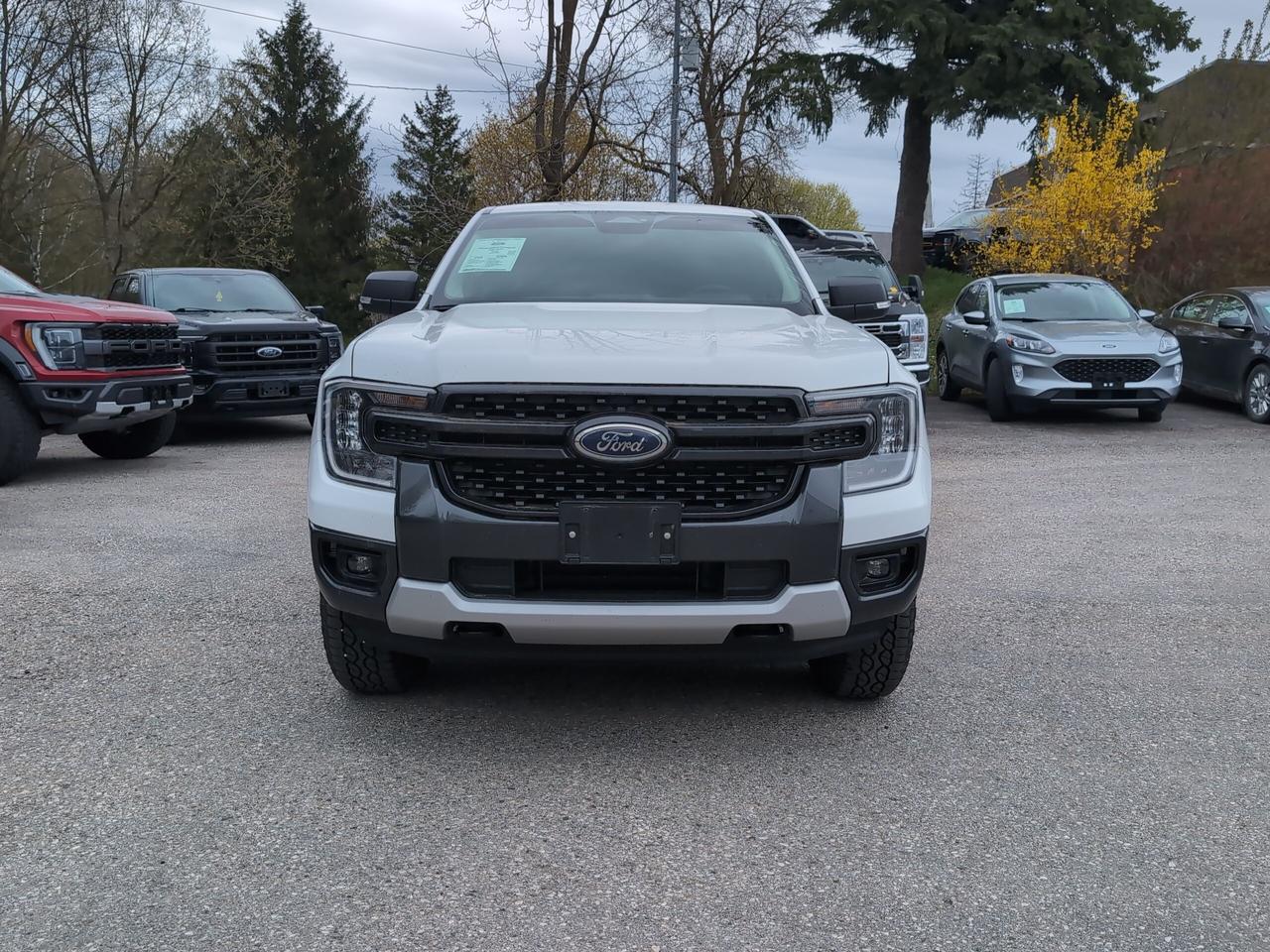 2024 Ford Ranger XLT 4WD SuperCrew 5' Box Photo1