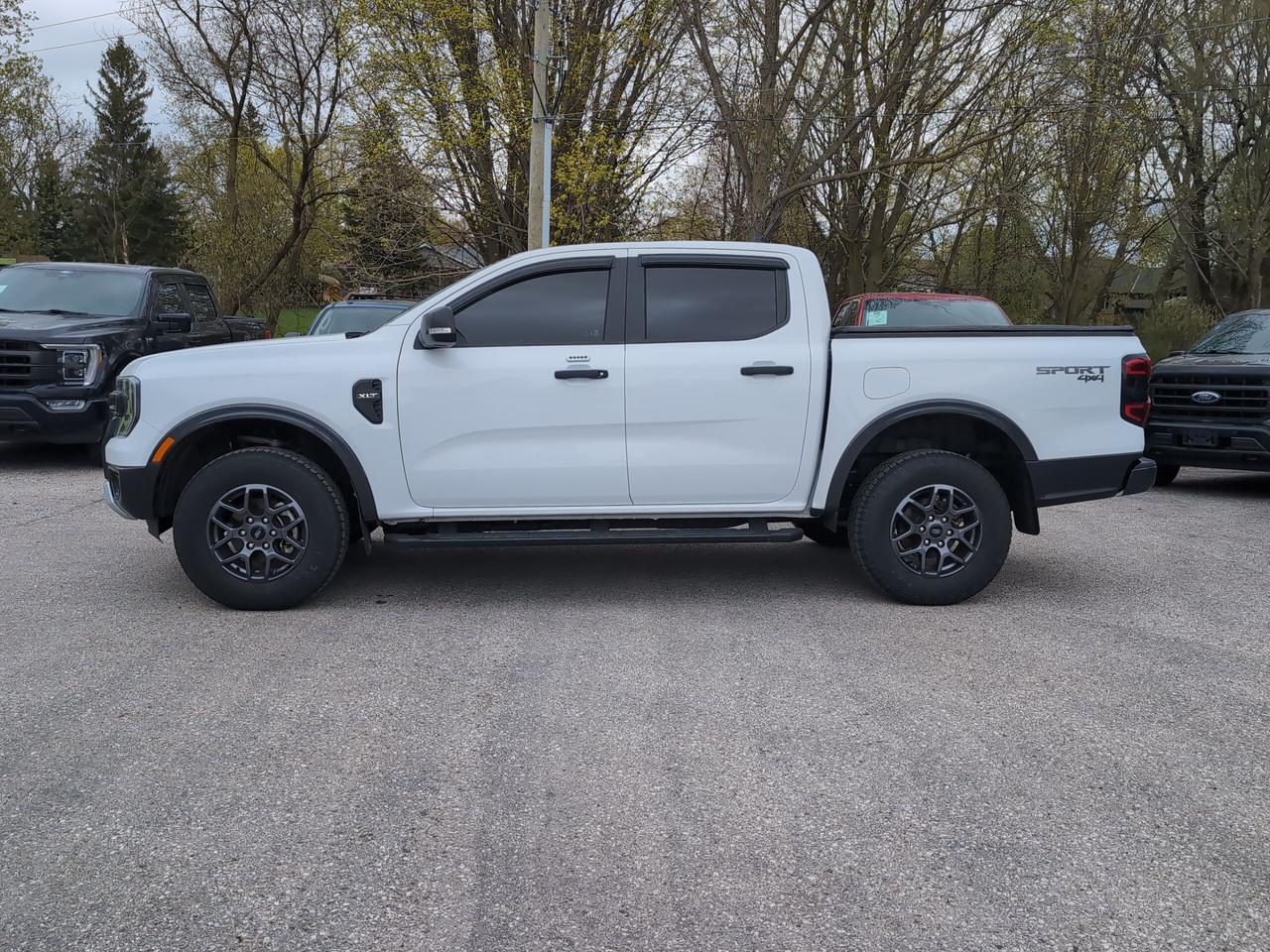 2024 Ford Ranger XLT 4WD SuperCrew 5' Box Photo2