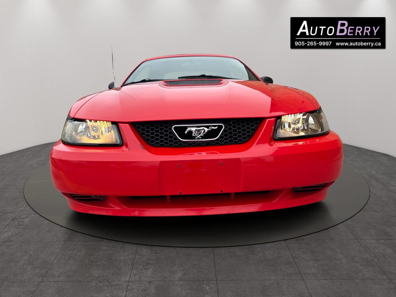 2000 Ford Mustang 2Dr Convertible Photo2