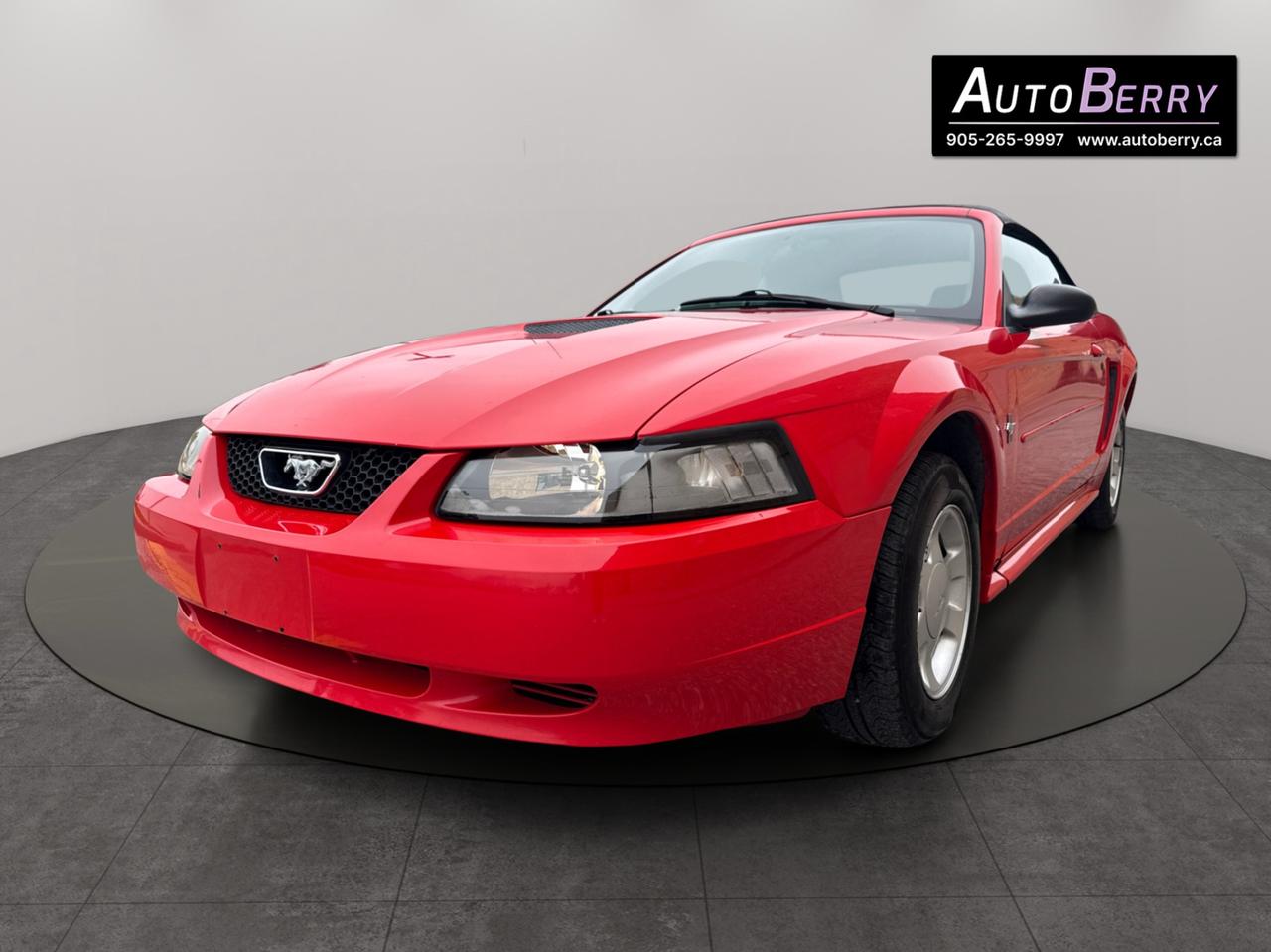 2000 Ford Mustang 2Dr Convertible Photo3