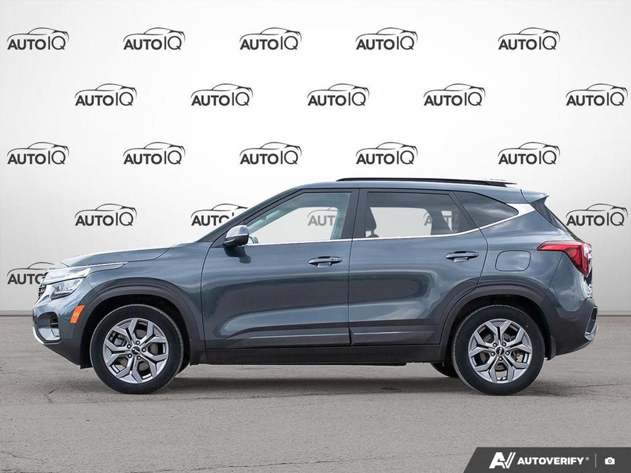 2025 Kia Seltos EX HEATER LEATHER SEATS | APPLE CARPLAY/ANDROID AUTO Photo