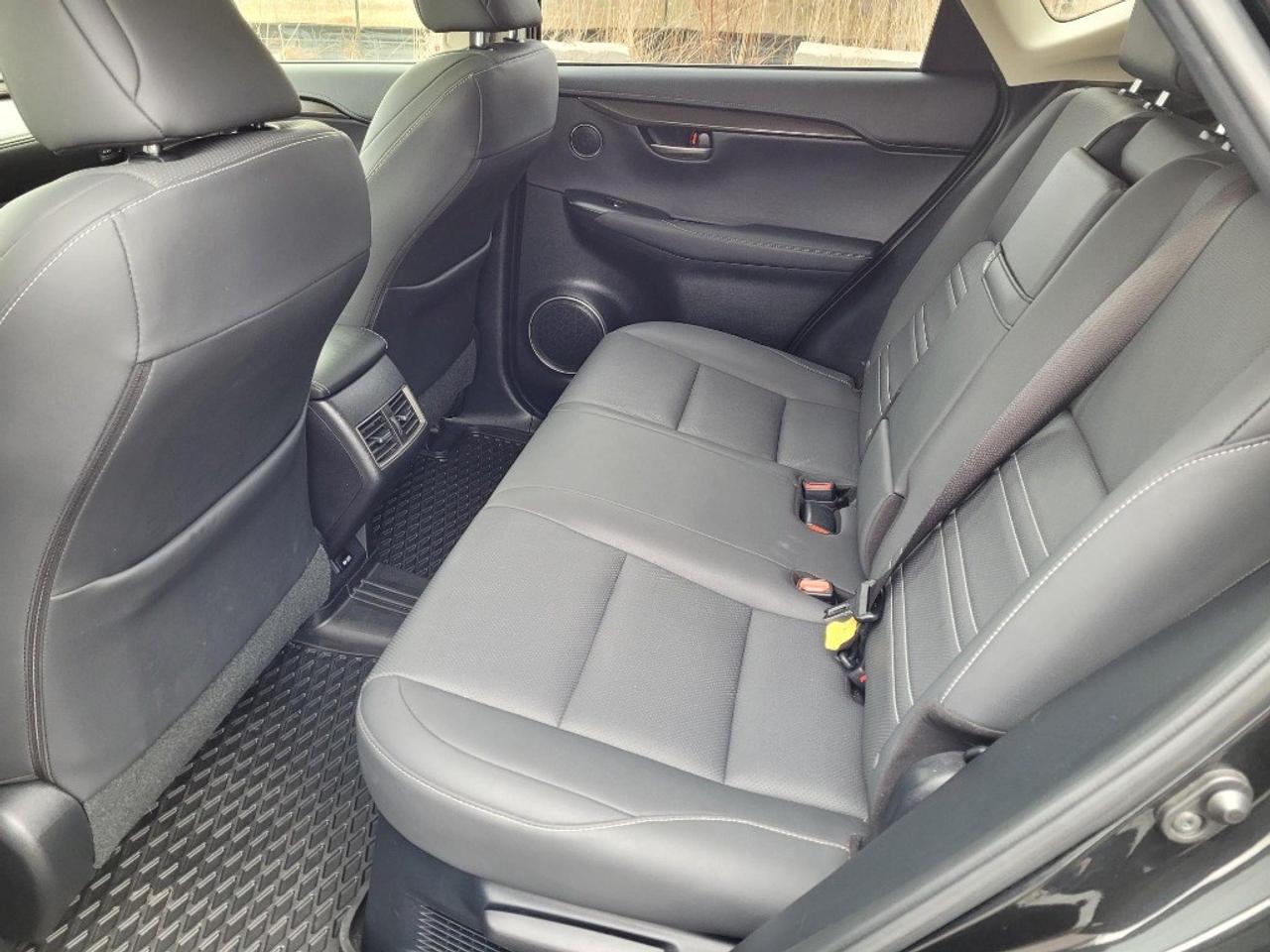 2021 Lexus NX 300h NX 300h AWD Photo