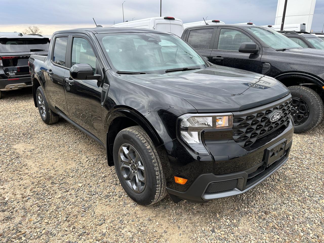 2026 Ford Maverick XLT AWD SuperCrew 301A Photo
