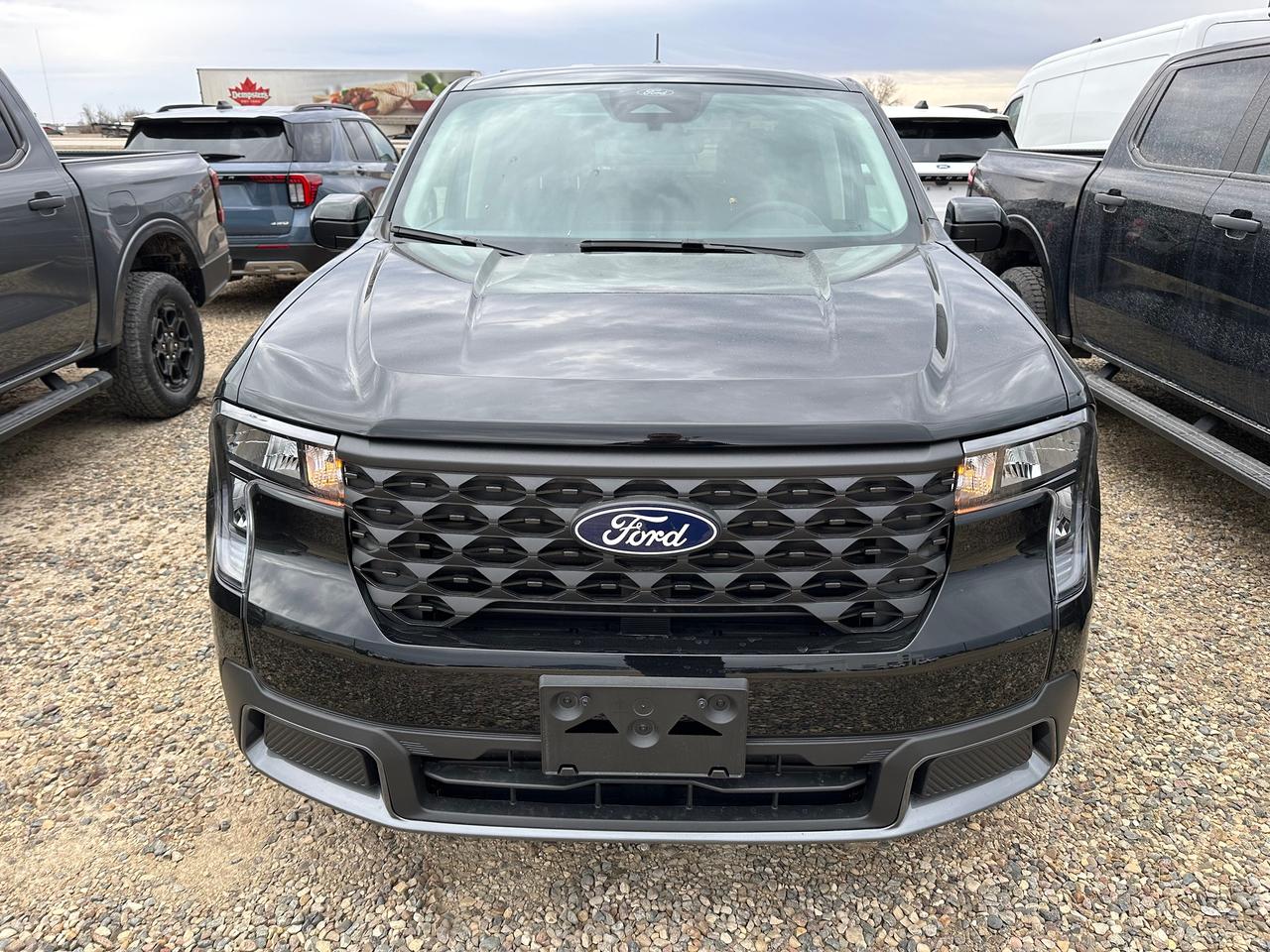 2026 Ford Maverick XLT AWD SuperCrew 301A Photo