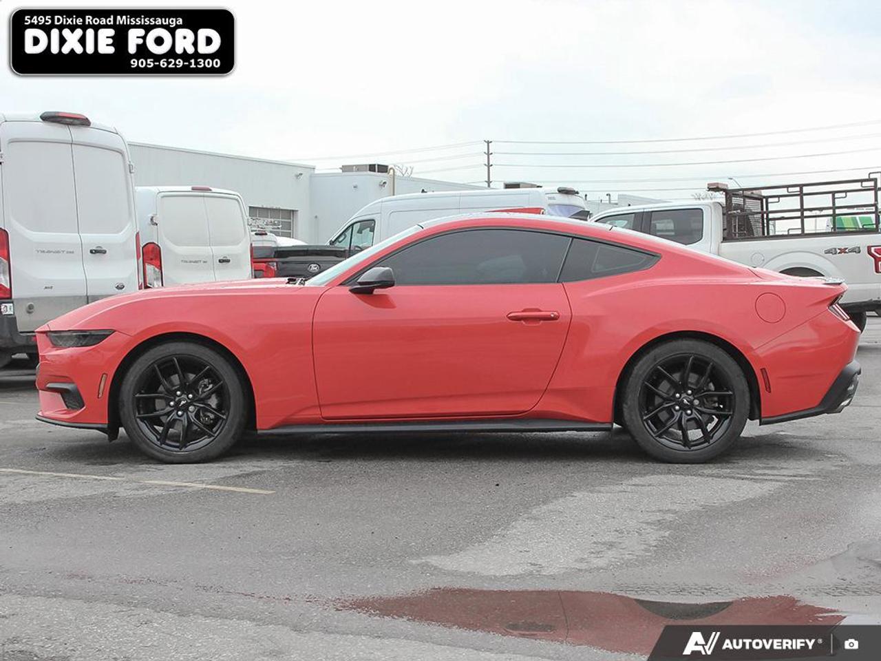2024 Ford Mustang EcoBoost Premium Photo