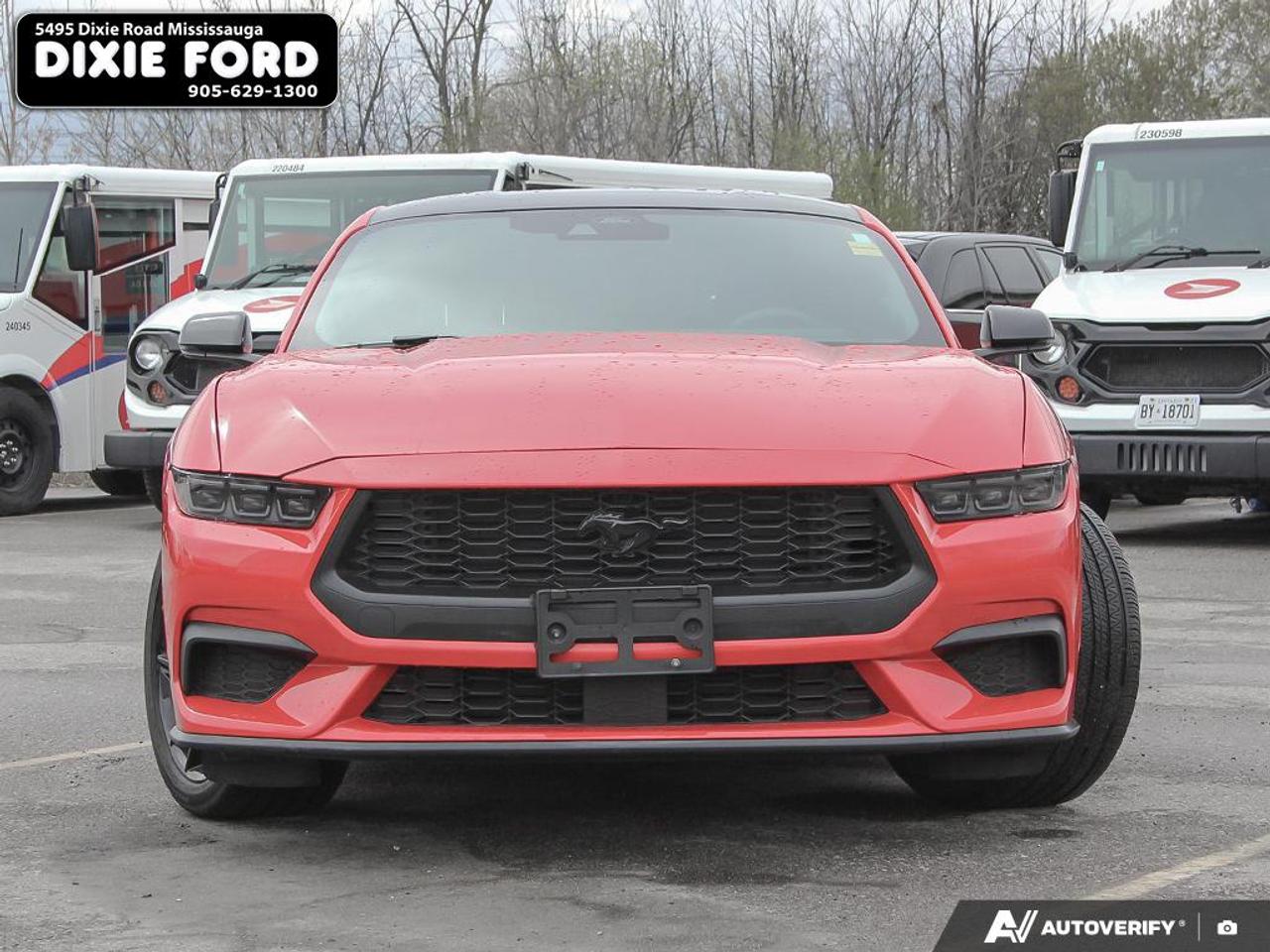 2024 Ford Mustang EcoBoost Premium Photo