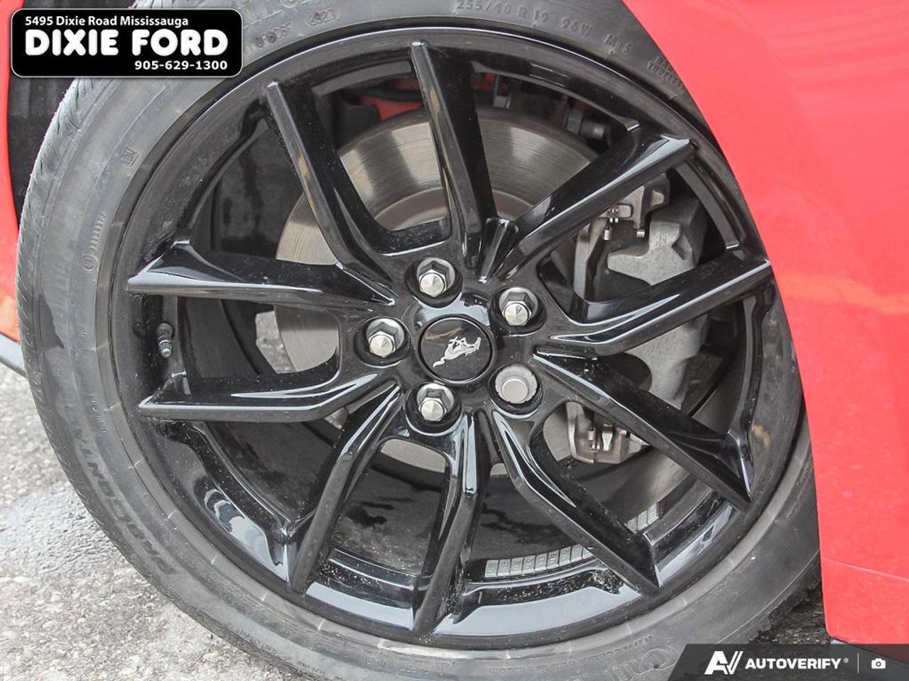 2024 Ford Mustang EcoBoost Premium Photo