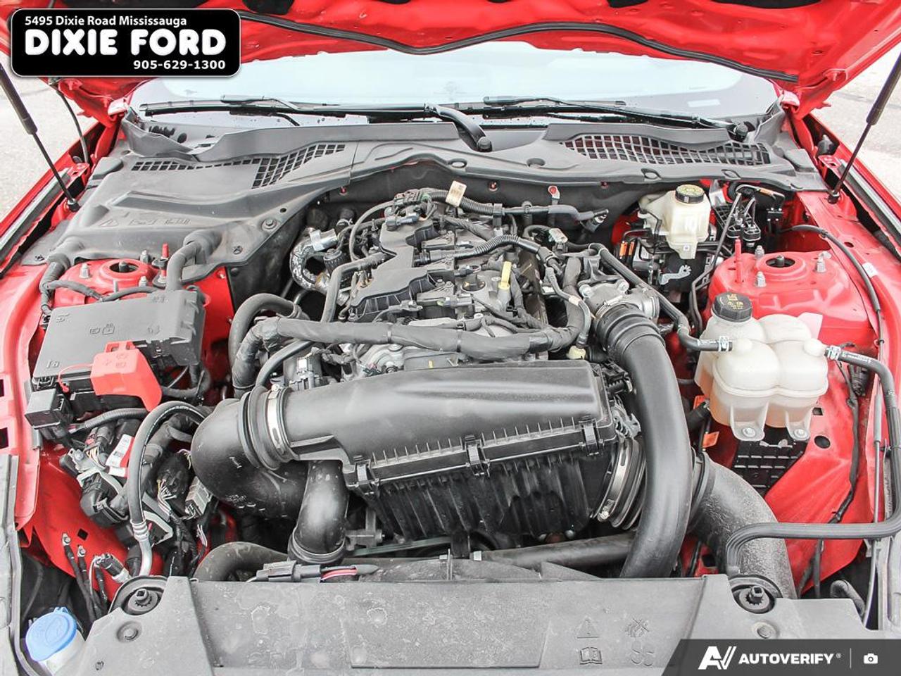 2024 Ford Mustang EcoBoost Premium Photo