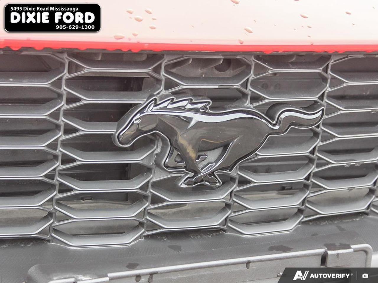 2024 Ford Mustang EcoBoost Premium Photo