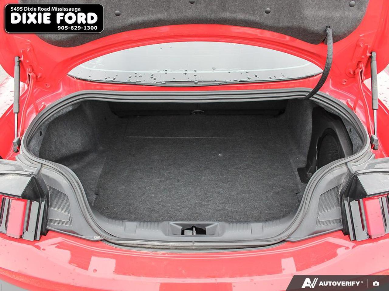2024 Ford Mustang EcoBoost Premium Photo