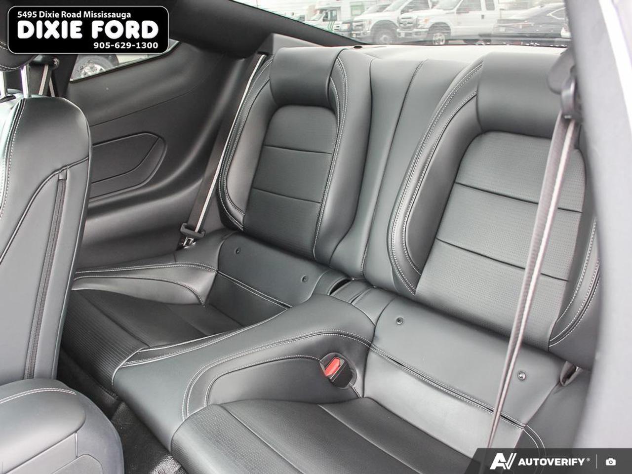 2024 Ford Mustang EcoBoost Premium Photo