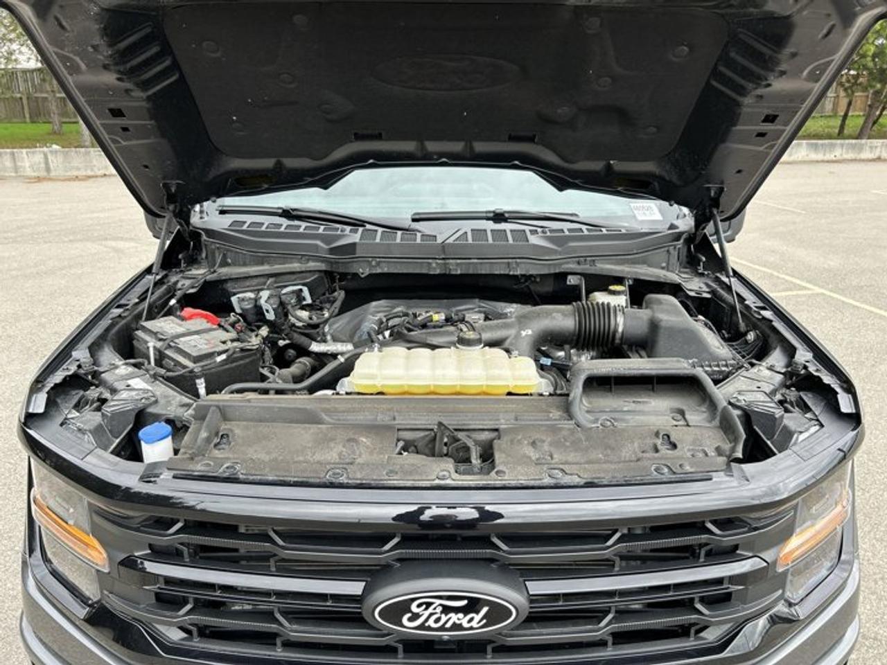 2024 Ford F-150 XLT SuperCrew 5.5' Box 4X4 | No Accidents | 360 Camera | Adaptive Cruise Photo
