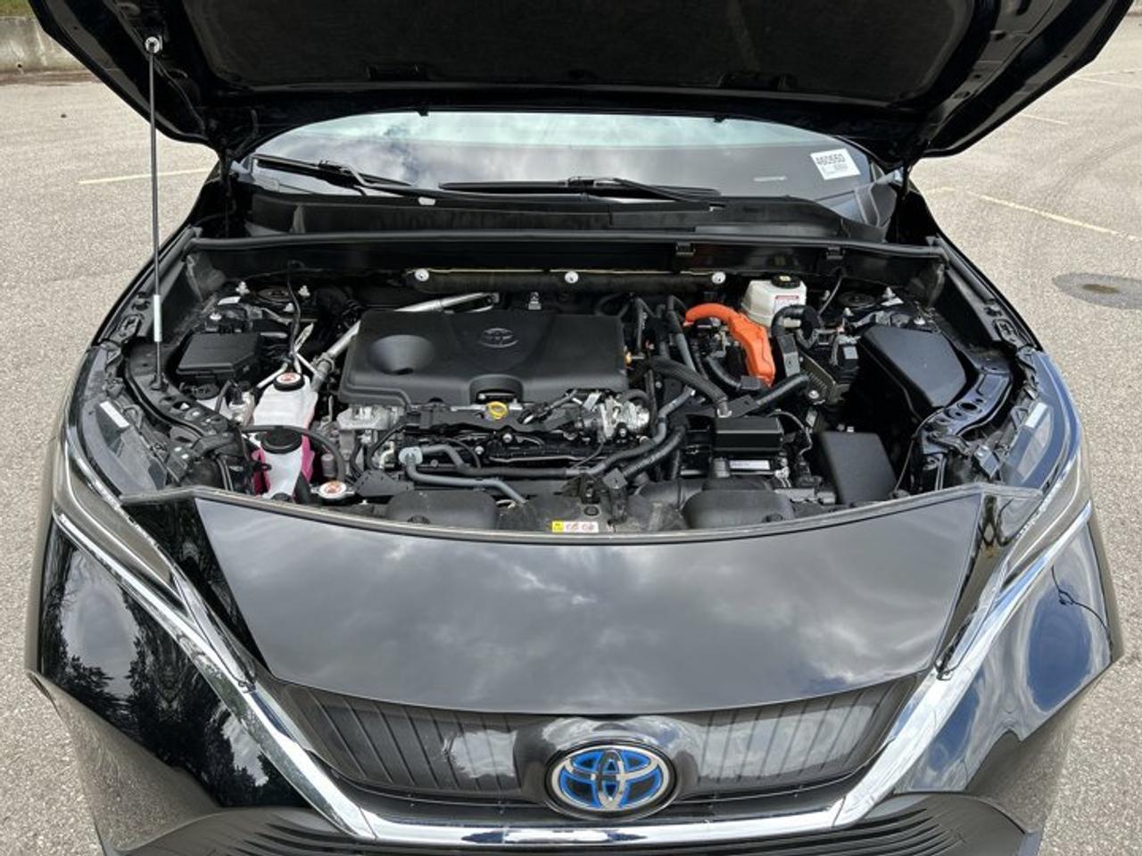 2023 Toyota Venza LE AWD | No Accidents | Adaptive Cruise Photo
