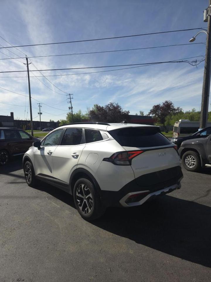 2024 Kia Sportage EX AWD Photo