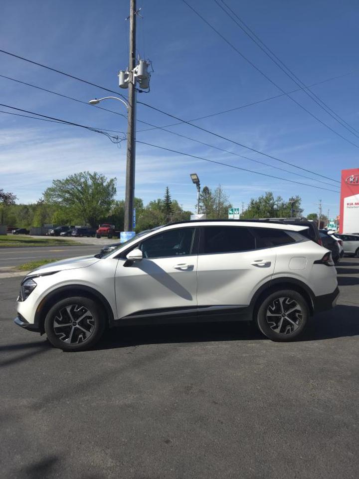 2024 Kia Sportage EX AWD Photo
