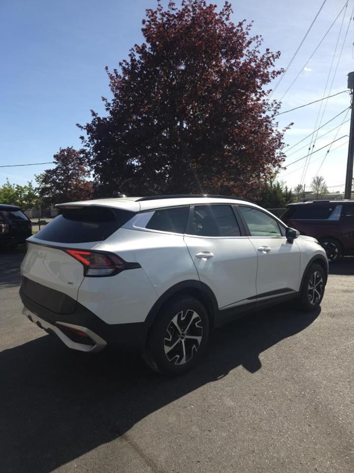 2024 Kia Sportage EX AWD Photo