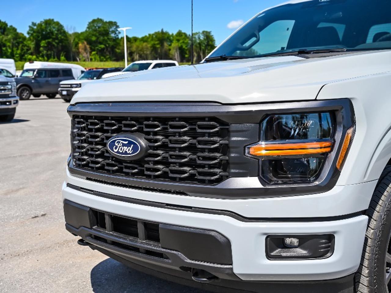 2026 Ford F-150 STX Photo
