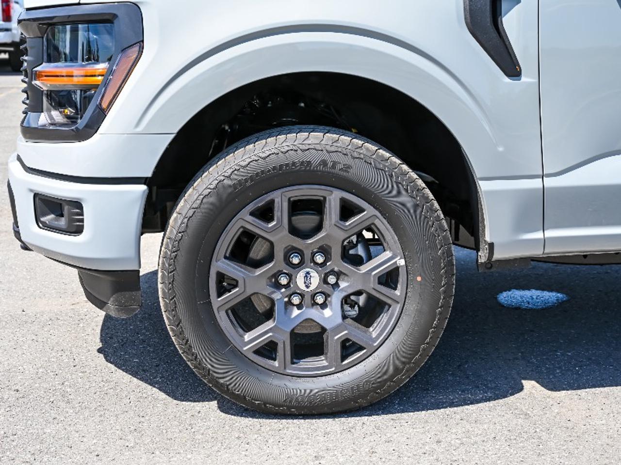2026 Ford F-150 STX Photo