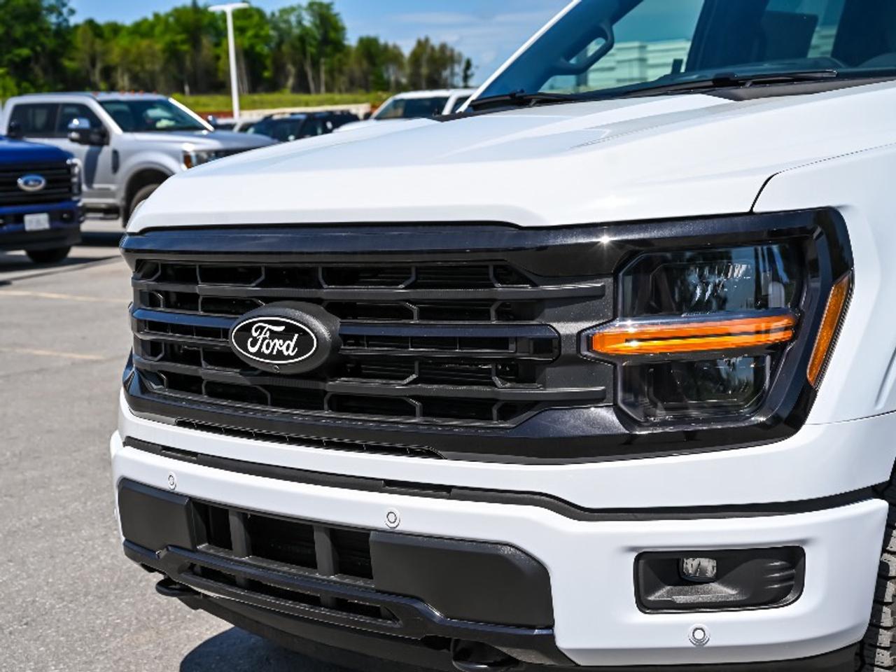 2026 Ford F-150 XLT Photo