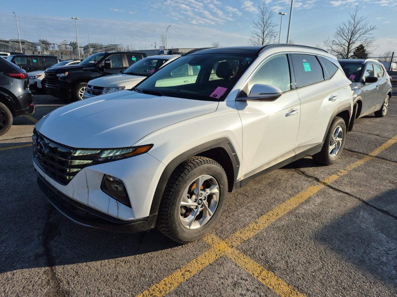 2024 Hyundai Tucson UTILITY AWD | W/TREND | LEATHER | NO ACCIDENTS Photo