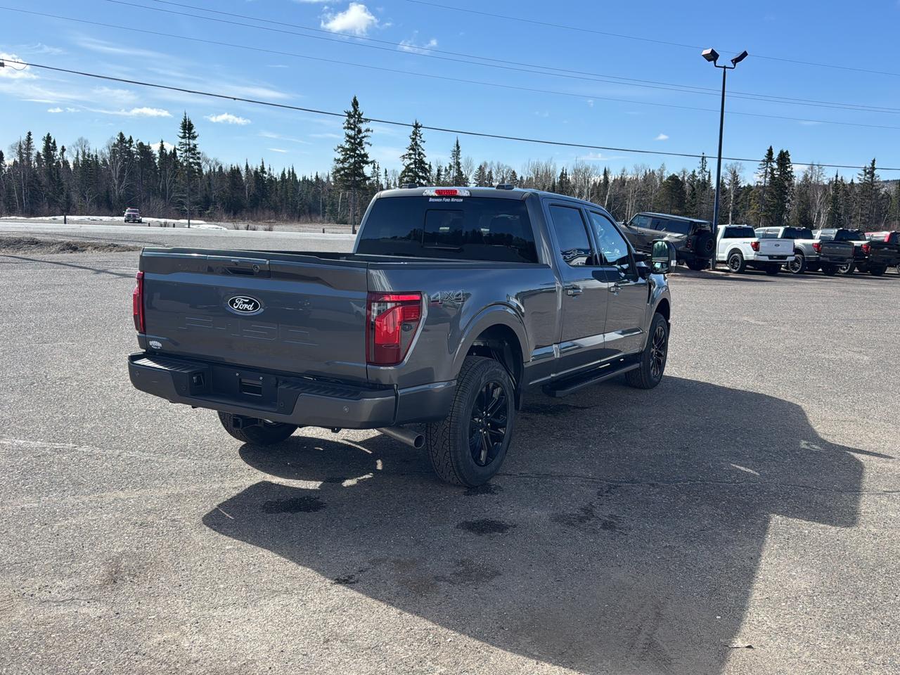 2026 Ford F-150 XLT Photo