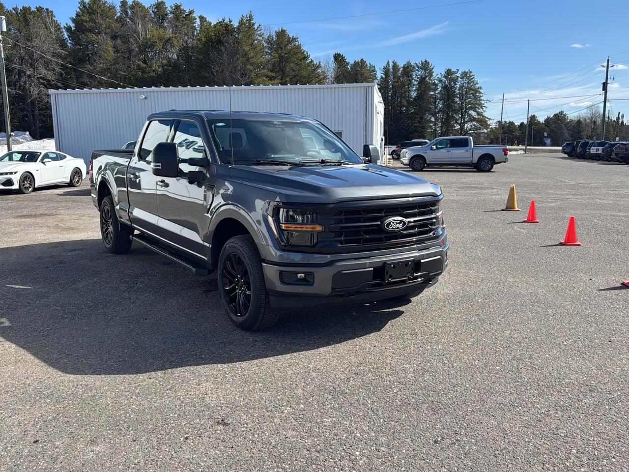 2026 Ford F-150 XLT Photo