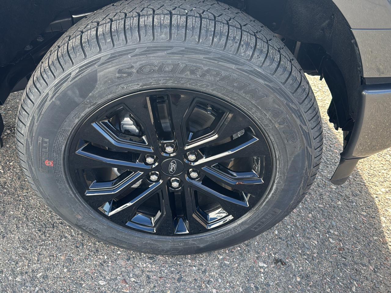 2026 Ford F-150 XLT Photo