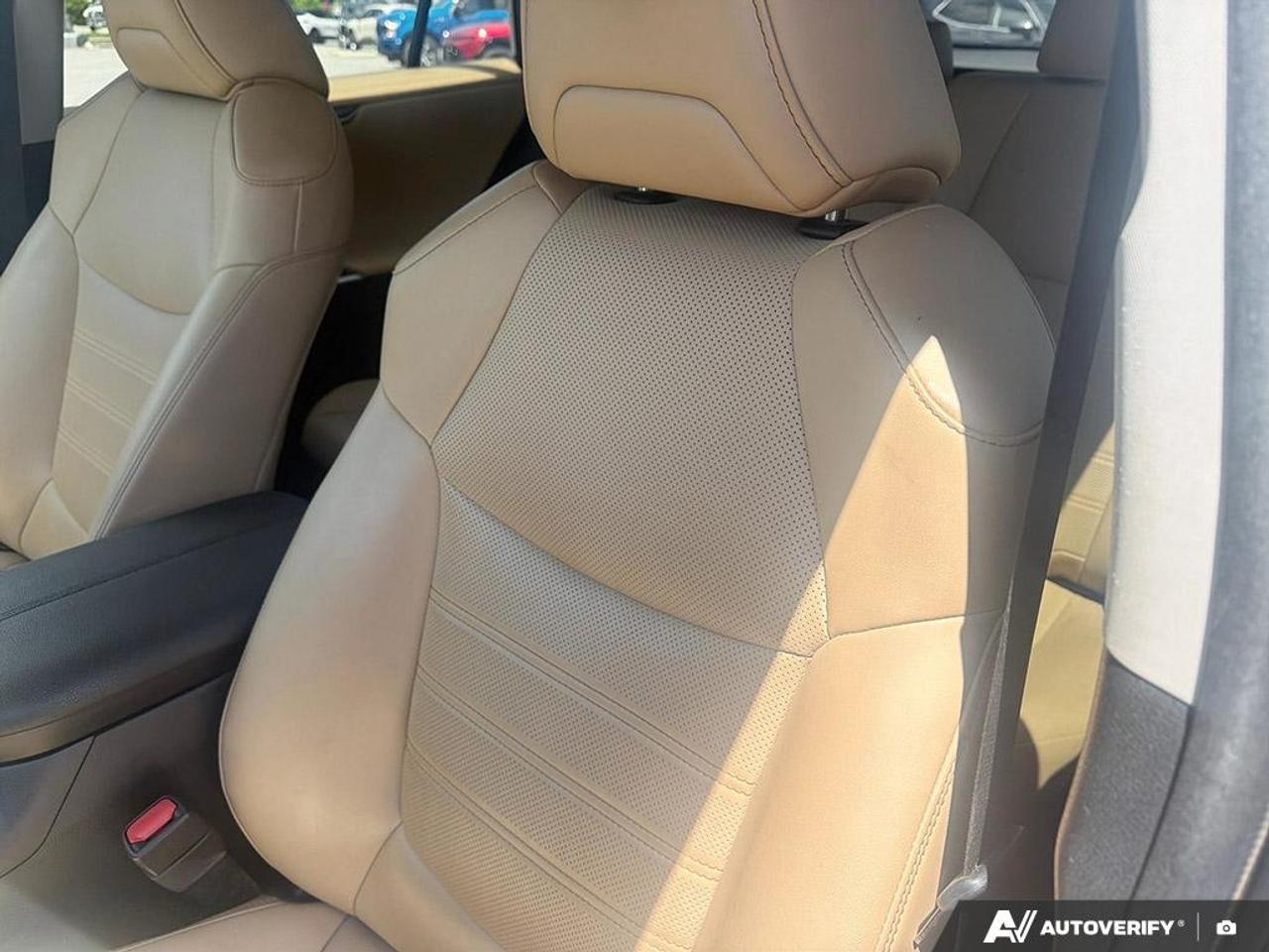 2020 Toyota RAV4 Hybrid Limited  - Leather Seats Photo