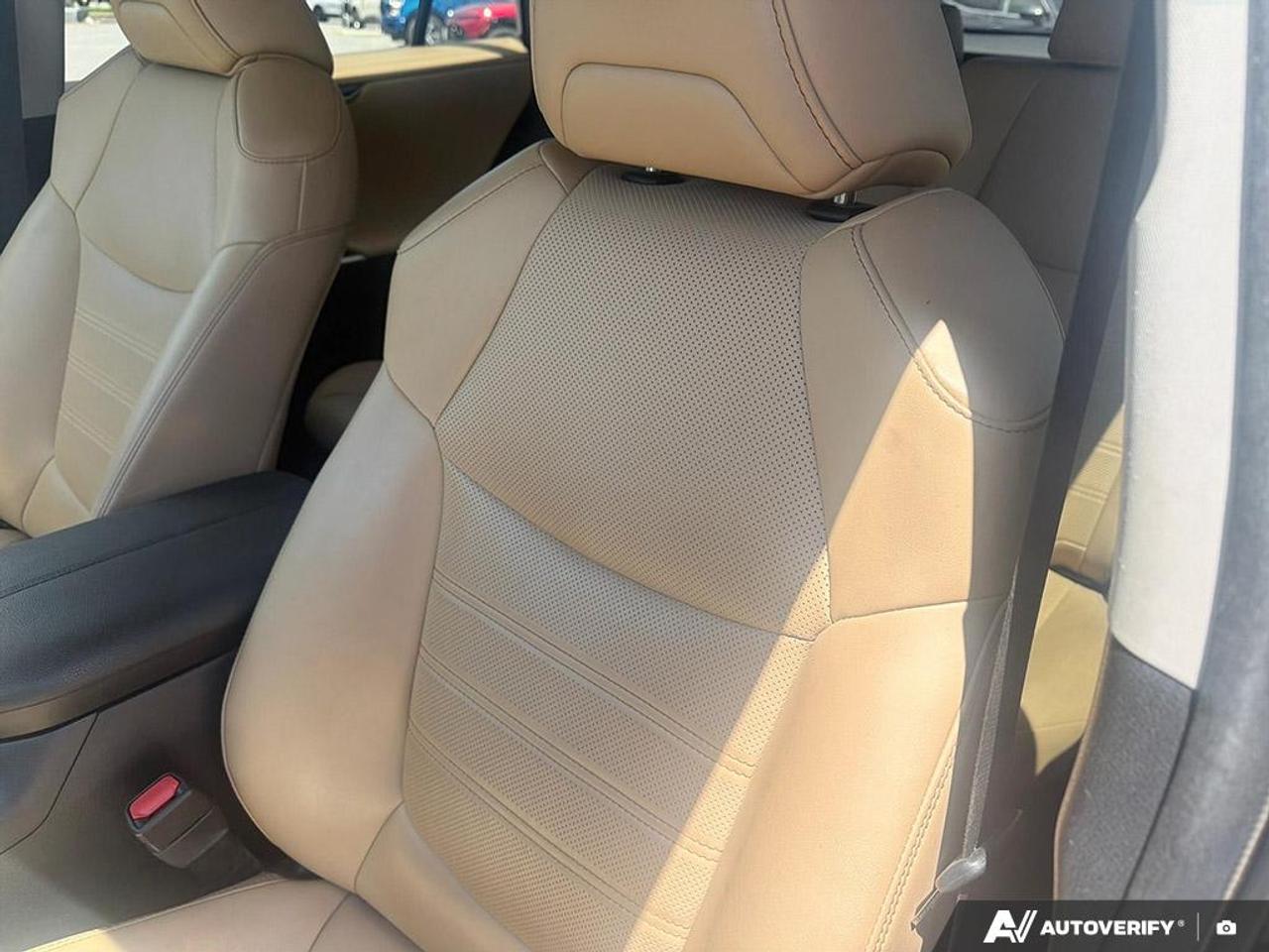 2020 Toyota RAV4 Hybrid Limited  - Leather Seats Photo