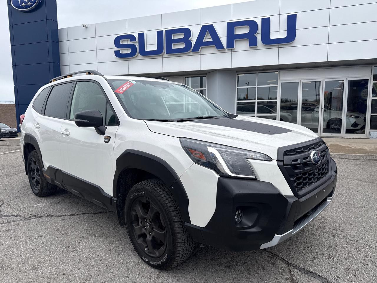 2023 Subaru Forester Wilderness 4dr All-Wheel Drive Photo0
