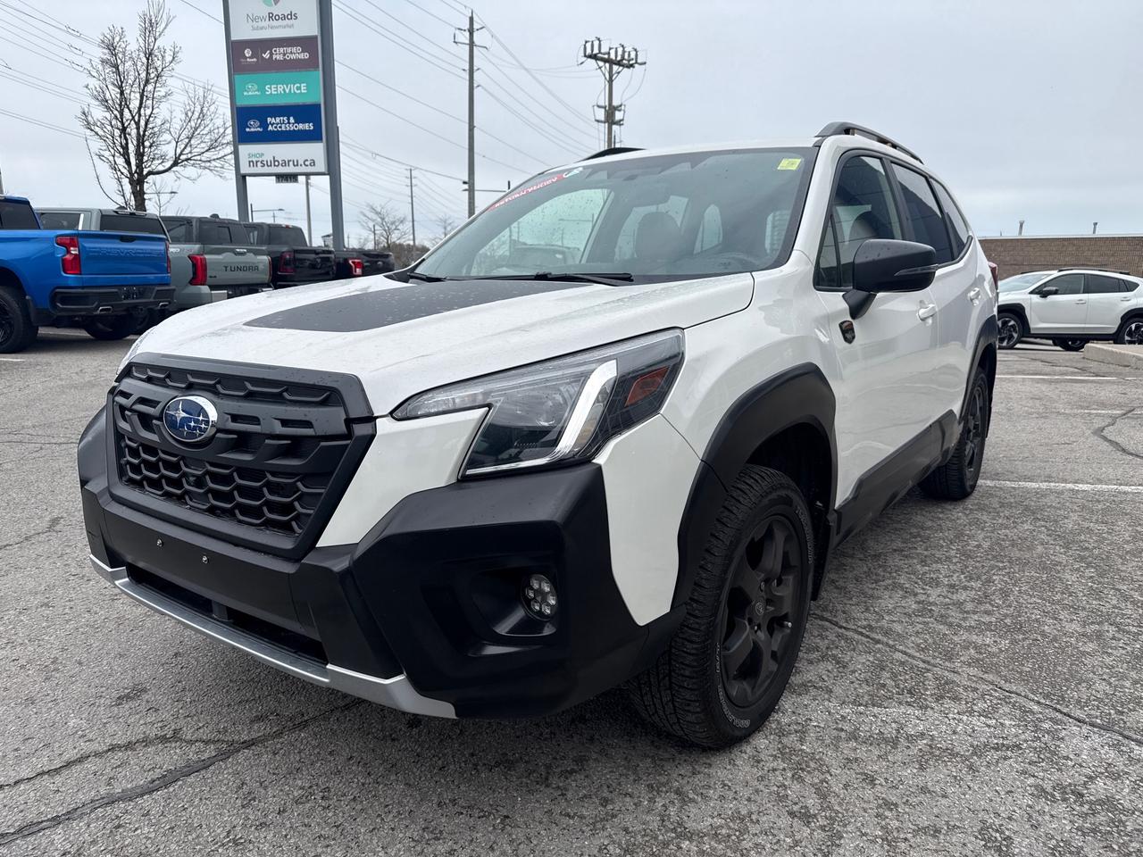 2023 Subaru Forester Wilderness 4dr All-Wheel Drive Photo