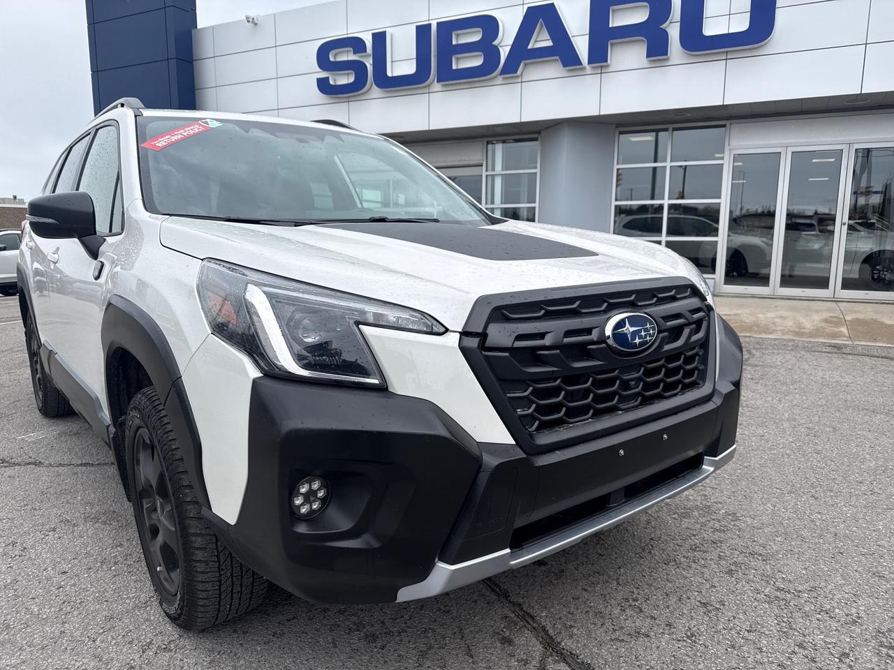 2023 Subaru Forester Wilderness 4dr All-Wheel Drive Photo
