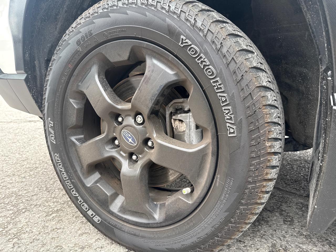 2023 Subaru Forester Wilderness 4dr All-Wheel Drive Photo