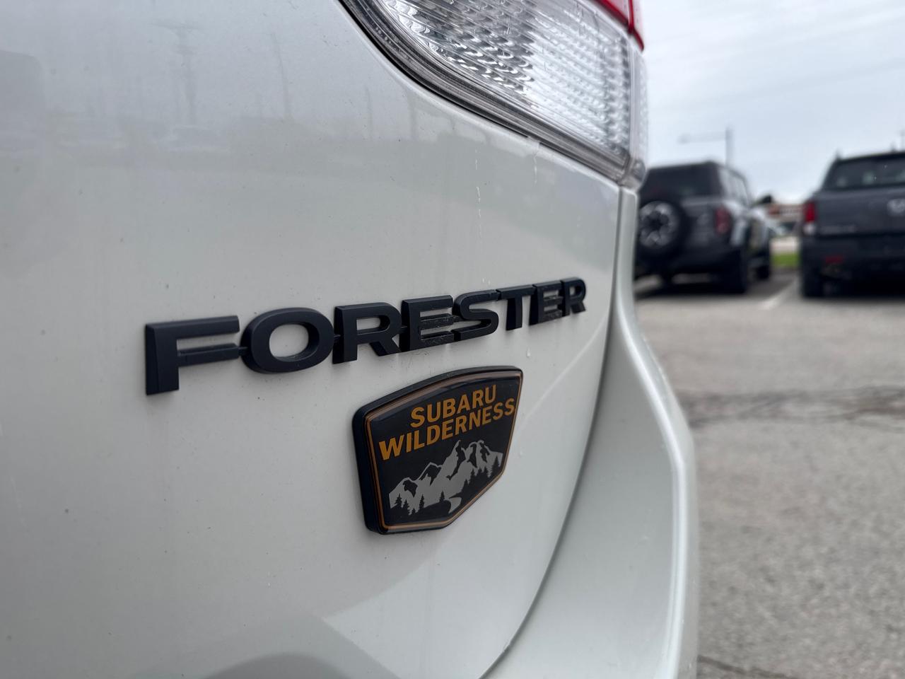 2023 Subaru Forester Wilderness 4dr All-Wheel Drive Photo