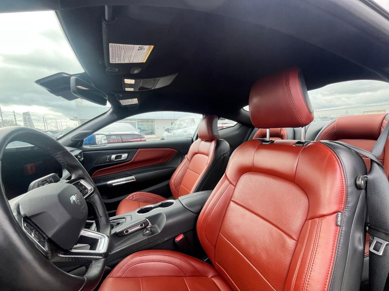 2024 Ford Mustang GT Photo