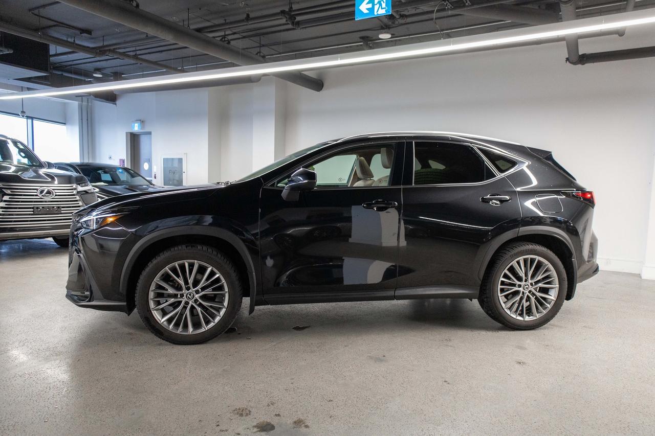 2024 Lexus NX 350h Luxury Pkg Safety Certified Welcome Trades Photo2